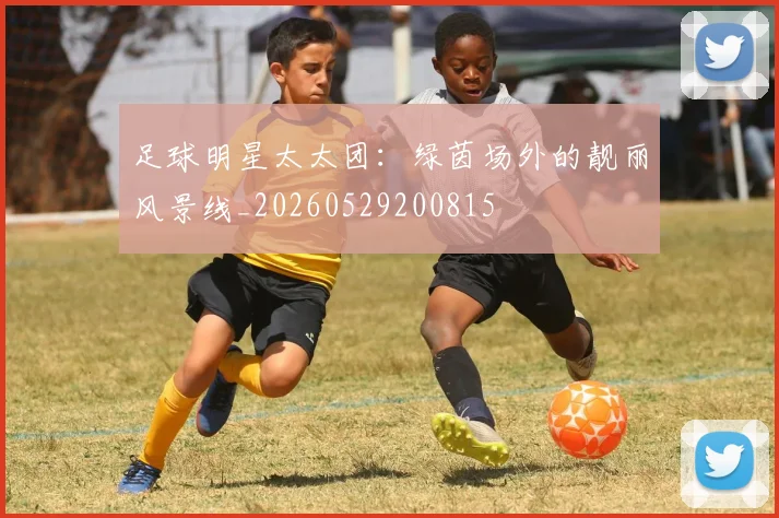 足球明星太太团:绿茵场外的靓丽风景线_20260529200815