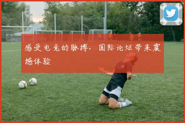 感受电竞的脉搏,国际论坛带来震撼体验