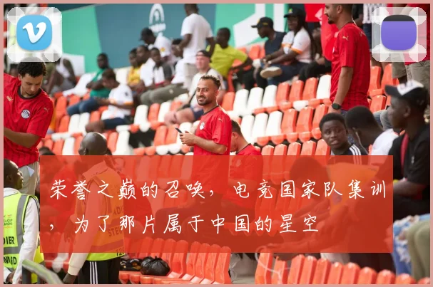 荣誉之巅的召唤,电竞国家队集训,为了那片属于中国的星空
