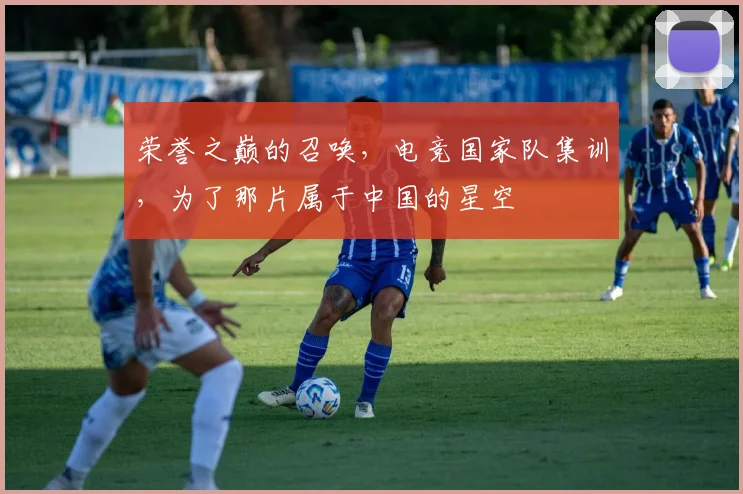 荣誉之巅的召唤,电竞国家队集训,为了那片属于中国的星空